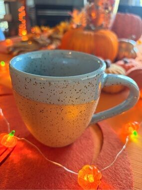 David’s Tea Speckled Rough Pottery Mug (Two Tone Robin’s Egg Blue and Brown)